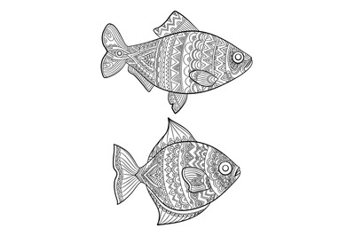 Fish coloring pages. Fashion drawing ocean animals drawings for adults