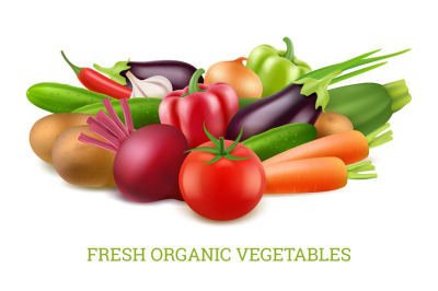 Vegetables collection 3d. Organic vegan healthy food nutrition vector