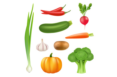 Vegetables realistic pictures. Healthy fresh food pumpkin broccoli cuc