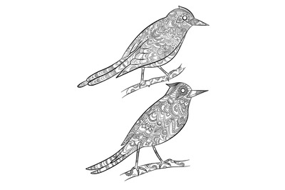 Birds coloring pages. Flying wild canary with linear floral pattern on