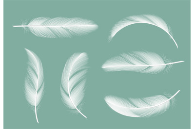 Feathers collection. Flying furry of goose vector realistic pictures i