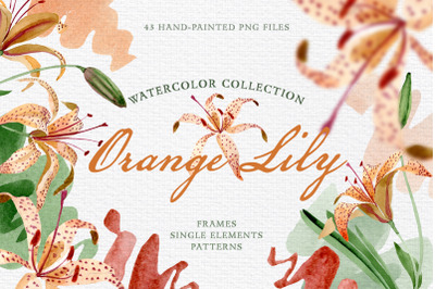 Orange lily Watercolor png