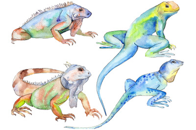 Animal world iguaana watercolor png