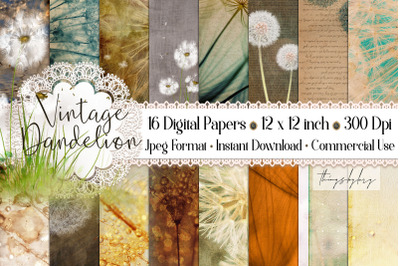 16 Antique Vintage Gorgeous Dandelion Seeds Digital Papers