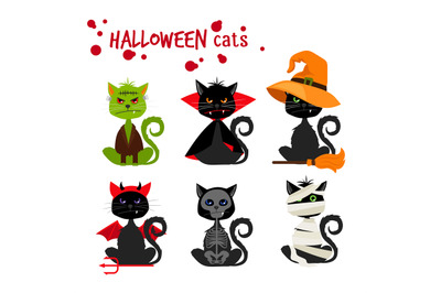 Halloween black cat fashion costume outfits