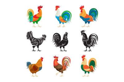 Roosters and rooster silhouettes set