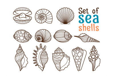 Vector sea shell line icons