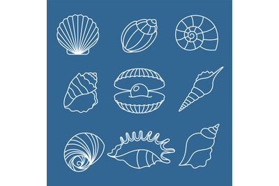 Sea shell outline icons on blue