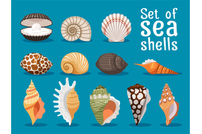 Sea shells flat icons set