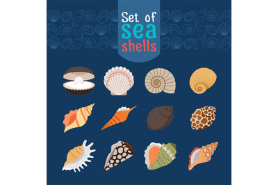 Seashells icons in flat style