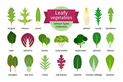 Green vegetables leaf set