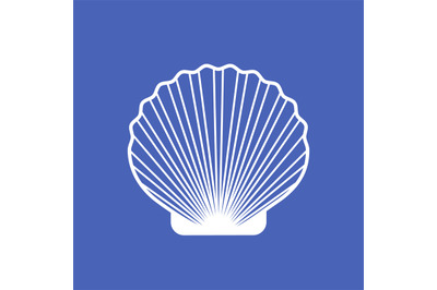 Marine seashell scallop