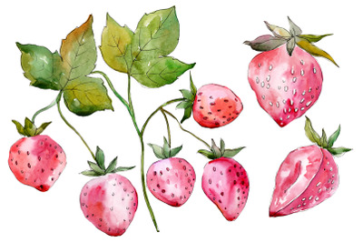 Strawberry red Watercolor png c