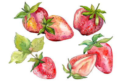 Strawberry &quot;Alba&quot; watercolor png