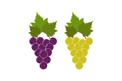 Grape icon