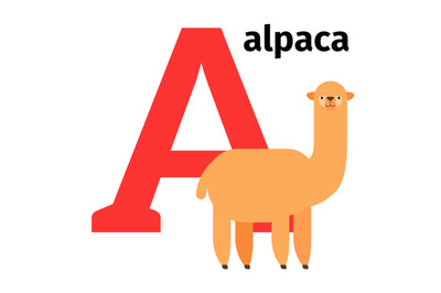 English animals zoo alphabet letter A