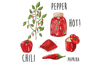 Hand drawn red pepper plant, in bottle, powder, spice