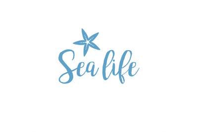 Starfish sea life lettering design