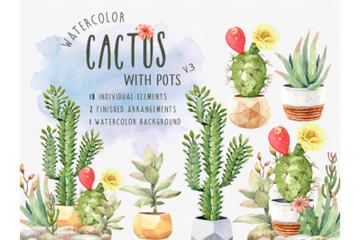 Cacti Watercolor, Succulent Clipart, Cactus with flower pots