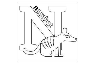 Numbat, letter N coloring page