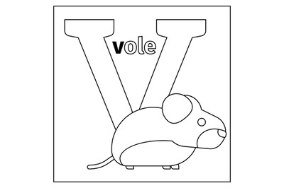 Vole, letter V coloring page