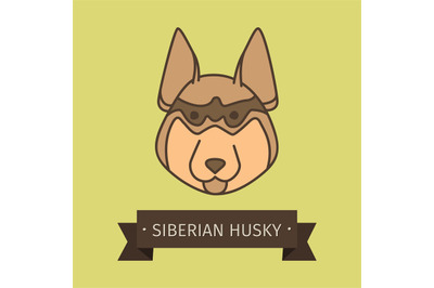 Siberian husky breed dog for logo