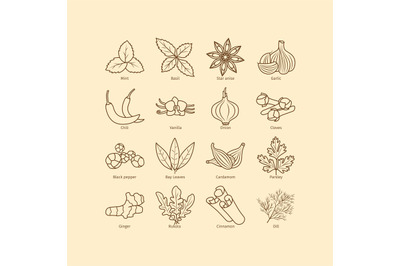 Condiments and spices line icons set