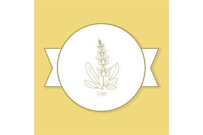 Sage medicine plant yellow label design