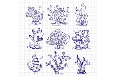 Ballpoint pen drawing seaweeds, corals, underwater plants