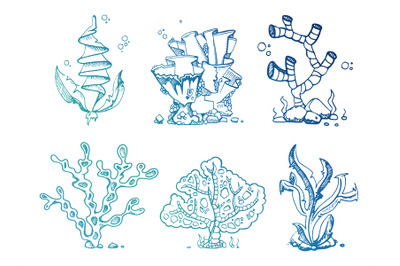 Bright doodle seaweeds underwater plants