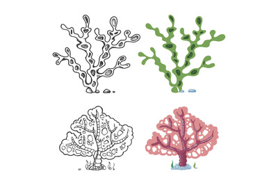 Seaweeds coloring page with bright sample - coral and underwater plant