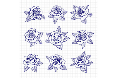 Ballpoint pen drawing roses set