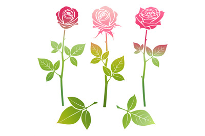 Bright spring roses flowers silhouette