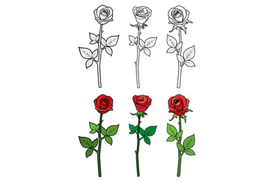 Hand drawn ouline and red roses - flowers