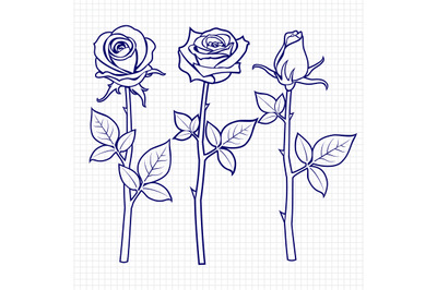 Hand drawn sketch roses flowers