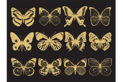 Golden butterflies collection