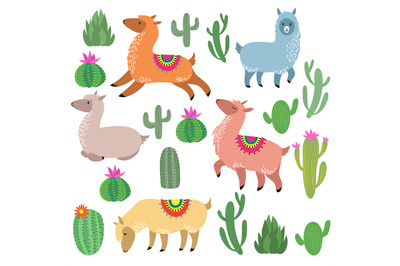 Cute alpaca lamas. Wildlife vector llama characters