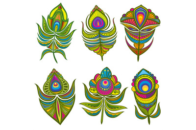 Decorative ethnic peacock feathers vector set isolated