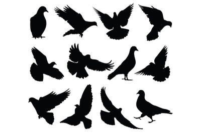 Flying dove vector silhouettes isolated. Pigeons set love and peace sy