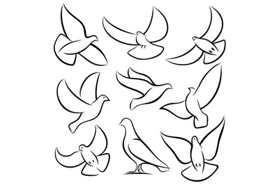 Outline flying doves&2C; white birds and pigeons vector logos. Holy spiri