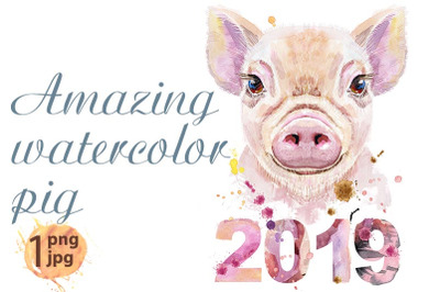 Watercolor portrait of mini pig with year 2019