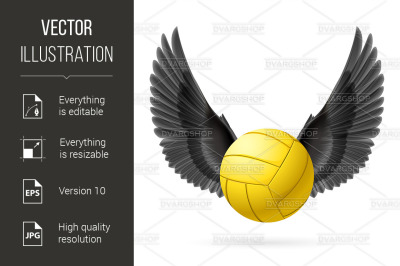 Flying ball