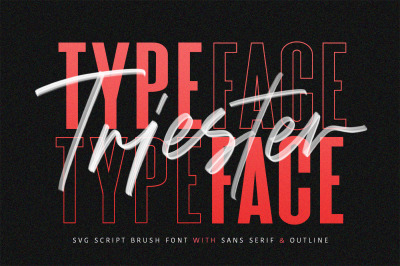 Zack Serif 4 Font Family Pack By Creativewhoa Thehungryjpeg Com