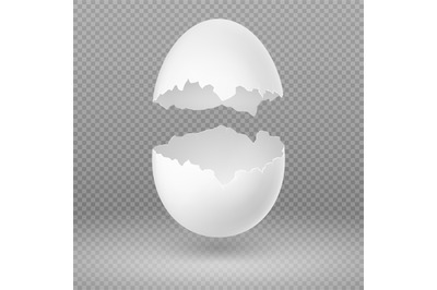 Opened white egg with broken shell isolated vector illustration