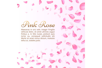 Pink rose or sakura falling petals. Elegant romantic vector background