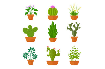Decorative cactuses with flowers and home plant in pots vector set