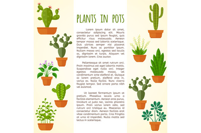 House plant and cactus vector brochure page template