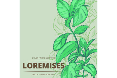Peppermint plants and leaves poster background