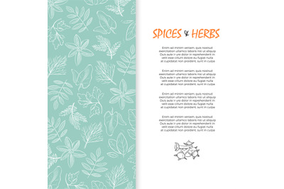 Spice and herbs banner - hand sketched culinary and medicine herbs bac