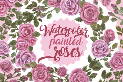 Rose watercolor illustration